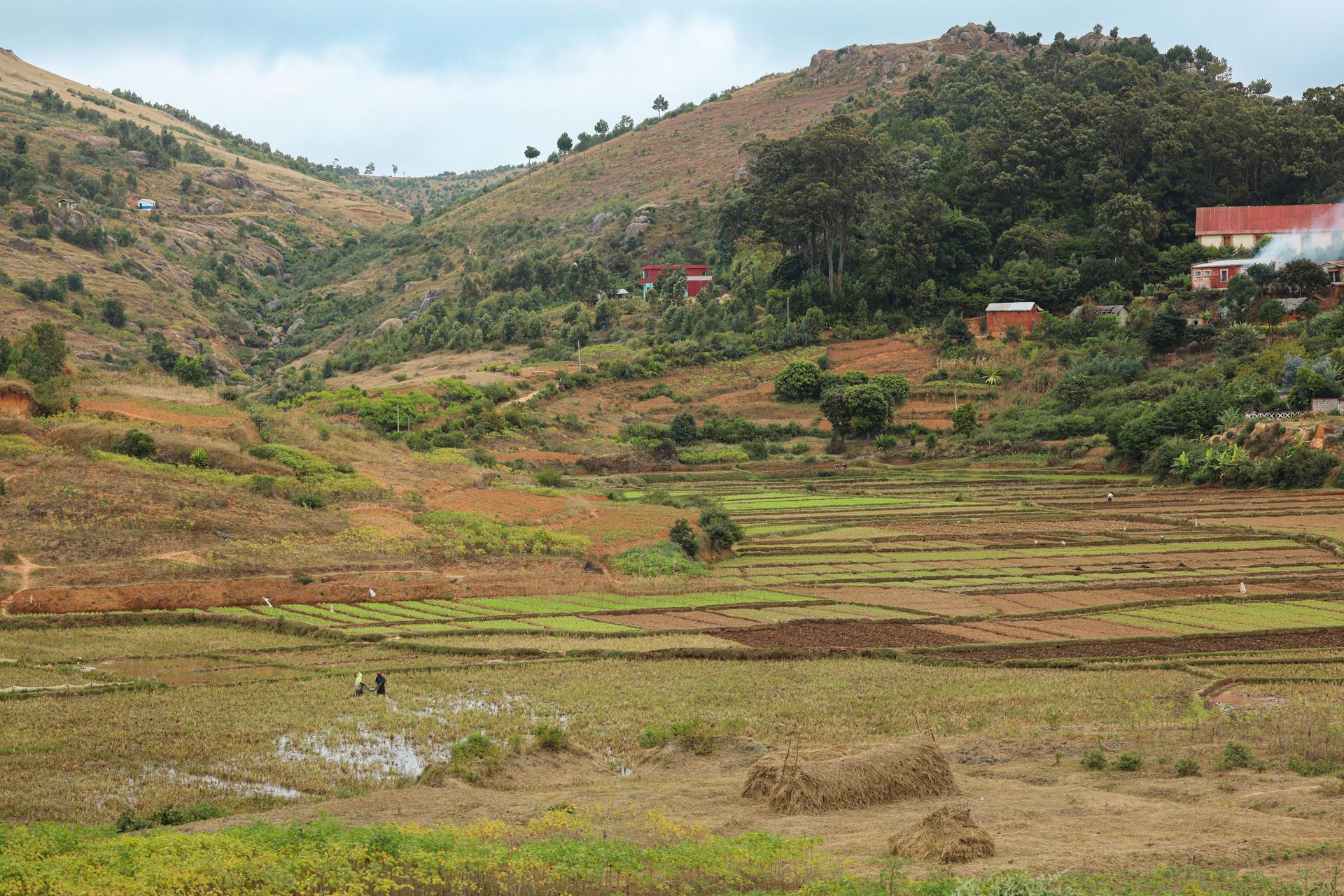 field-with-guanova-fertilizer-NPK-augmented